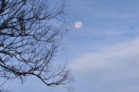 我的摄影日记｜大雪节气