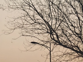 我的摄影日记｜简单美