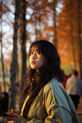 夕阳无限好，只是近黄昏