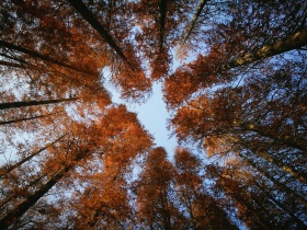 我和我的影子在秋末的沙滩