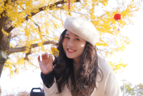 收藏这个金色的午后