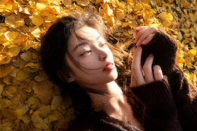 在这个落叶像雪的季节