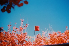 我看见了一幅幅油画