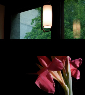 事如春梦了无痕