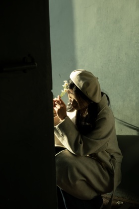 晚秋午后的静逸时光