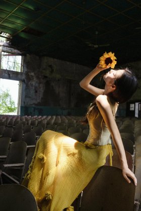 绿意疯长的地方，我化成金色