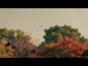 这场深秋终于从诗句外落了下去。