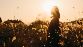 落日和芦苇做伴