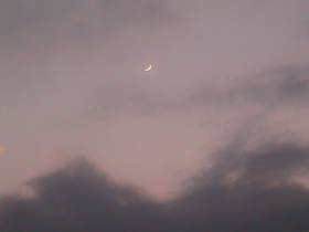 在巨大的寂静之中