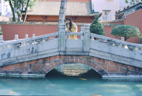 她似一阵柔和的风