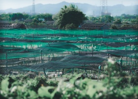 远观身边的事，把自己当局外人
