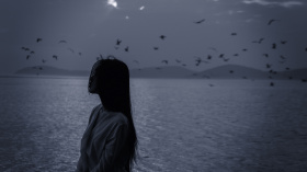 众鸟高飞尽，孤云独去闲...