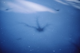 在颐和园做了一场不愿醒来的梦