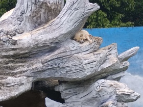 杭州市野生动物园