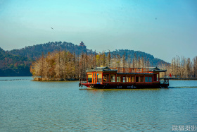 东湖落雁岛-鸟岛