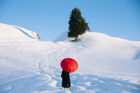 《在冬日的库尔德宁相遇》
