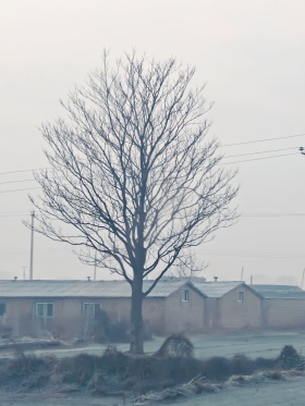 我的摄影日记｜车窗外的冬