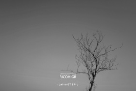 与光同行｜冬野