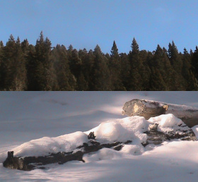 如同覆雪的山谷