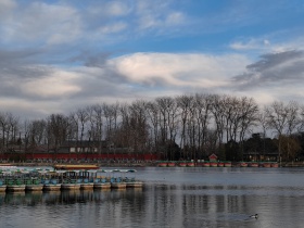 荣耀80手机拍摄，北海公园。