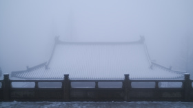 春夏秋冬又一春。