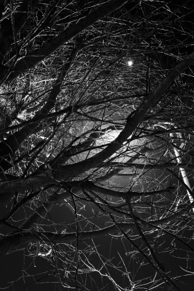 与光同行｜冬夜