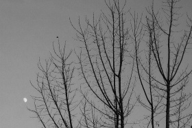 与光同行｜冬日光影