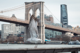 宇宙中心曼哈顿的一些角度