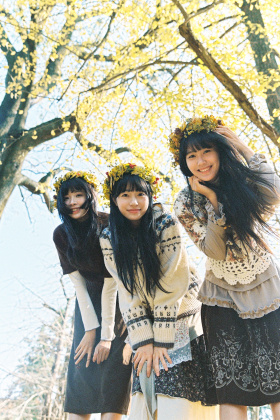 见一面吧  在银杏满地的时候