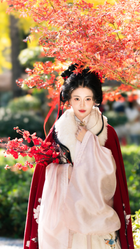 相逢何必曾相识