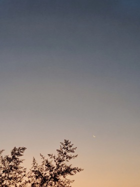 我的摄影日记｜望月