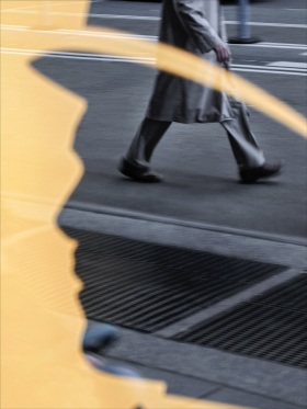 独特视角，摄影师Sarah van Rij