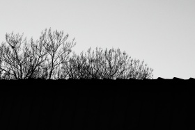 与光同行｜简冬