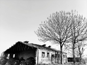 我的摄影日记｜田野的冬