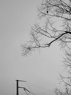 我的摄影日记｜拾冬