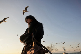 当海鸥与海浪相遇