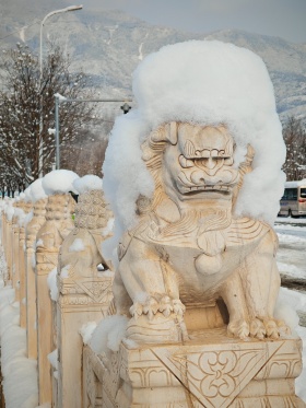 荣耀400pro拍摄，圈门。