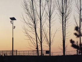 我的摄影日记｜大寒