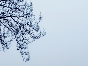 我的摄影日记｜恋空