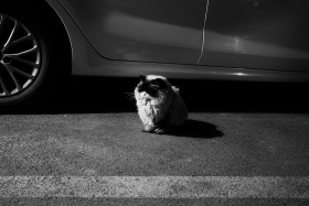 我的摄影日记｜拾光