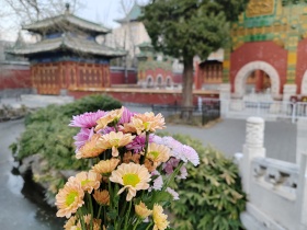 荣耀80手机拍摄，小西天。