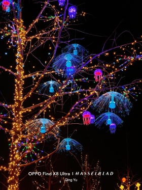 扫街-漯河银滩乐园夜游