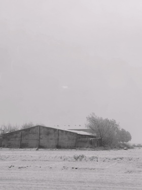 我的摄影日记｜雪原
