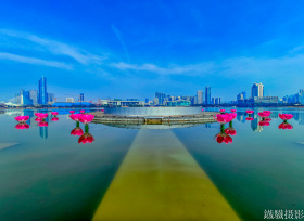 冬日月湖竞妖娆