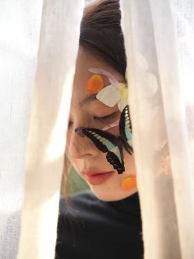 做了一场与蝴蝶共生的梦