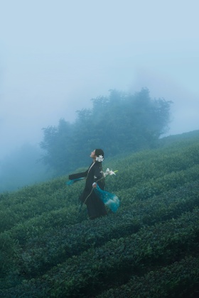  雾起时，与山野相拥