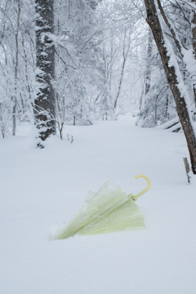 独属于自己的初雪