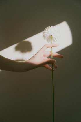 在风和日丽的某一天