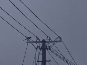 我的摄影日记｜路上的时光