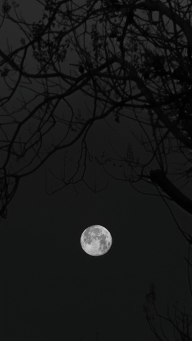 我的摄影日记｜望月